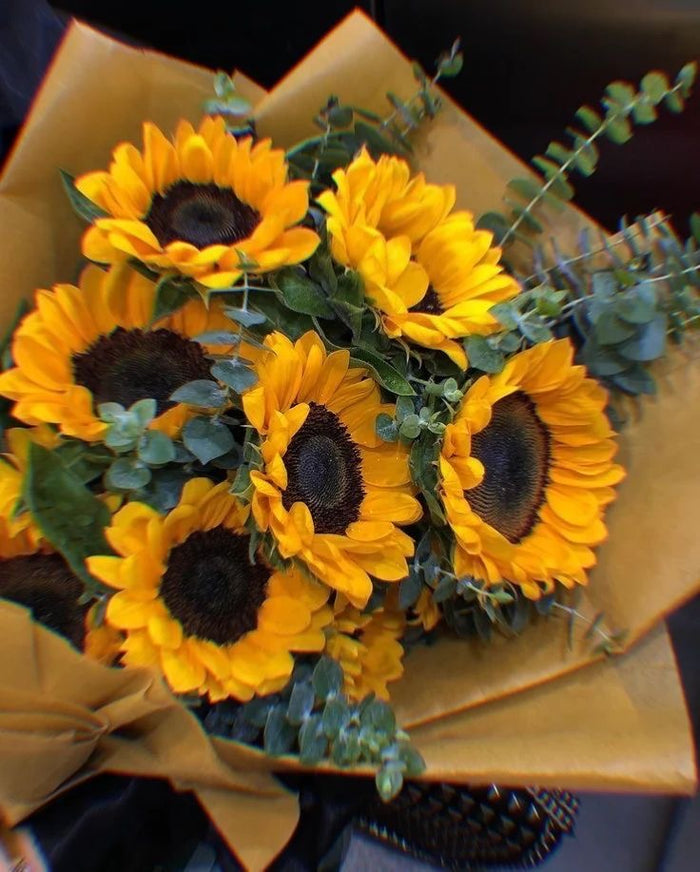 10 Big Sunflowers