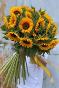 20 Sunflowers