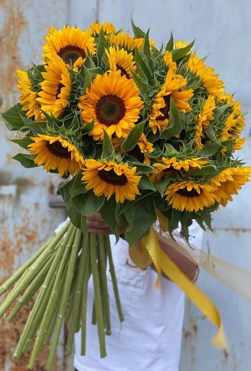 20 Sunflowers