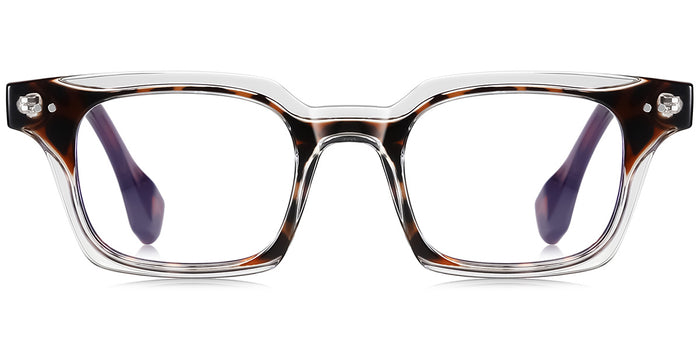 translucent-tortoiseshell
