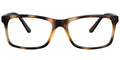 Alexandria Walkview Eyewear