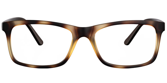 Alexandria Walkview Eyewear