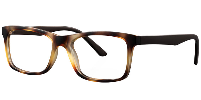 Alexandria Walkview Eyewear