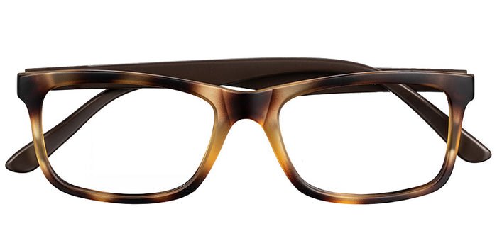 Alexandria Walkview Eyewear