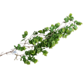 ARTIFICIAL GREENERY Deventor