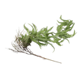 ARTIFICIAL GREENERY Deventor