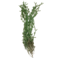 ARTIFICIAL GREENERY Deventor