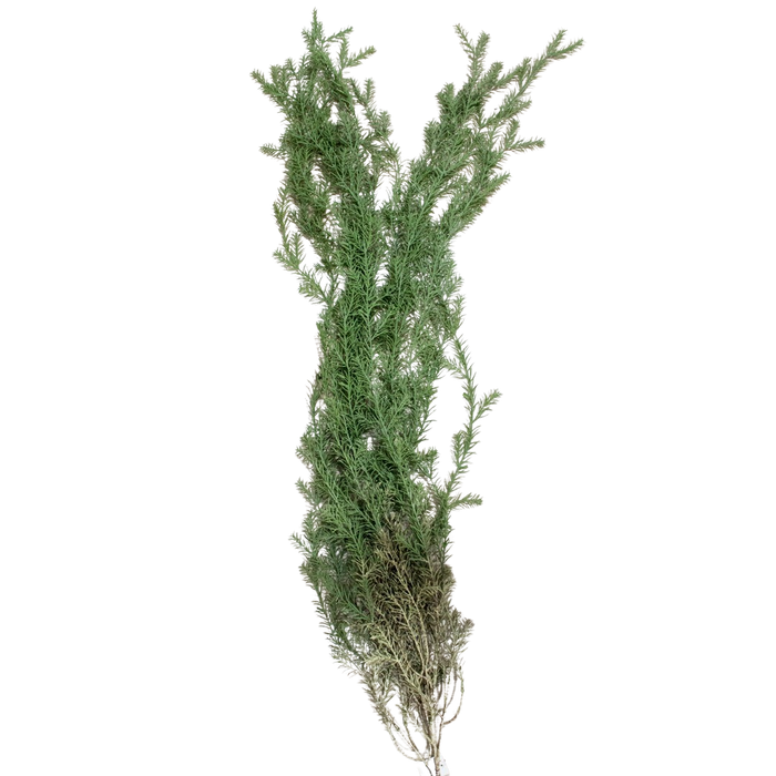 ARTIFICIAL GREENERY Deventor