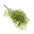 ARTIFICIAL GREENERY Deventor
