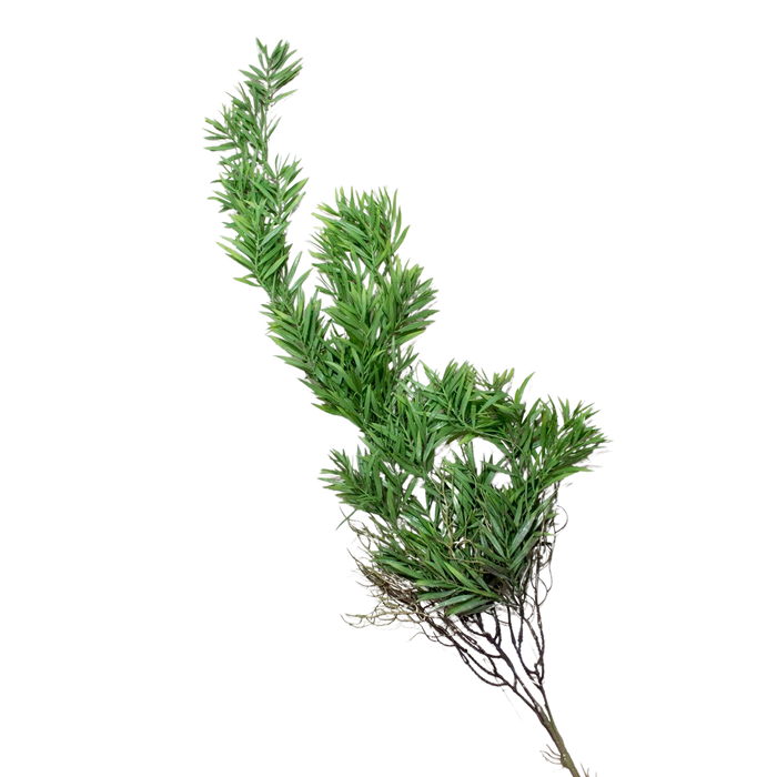 ARTIFICIAL GREENERY Deventor
