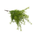 ARTIFICIAL GREENERY Deventor
