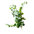 ARTIFICIAL GREENERY Deventor