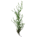ARTIFICIAL GREENERY Deventor