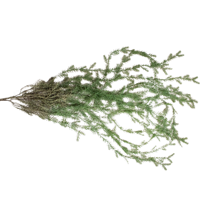 ARTIFICIAL GREENERY Deventor