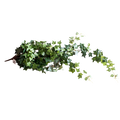 ARTIFICIAL IVY GREEN Deventor