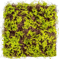 Artificial moss sheet deventorycy