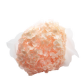 ARTIFICIAL ORTANSIA PINK Deventor