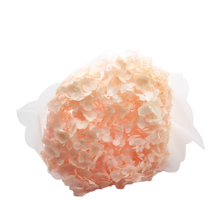ARTIFICIAL ORTANSIA PINK Deventor