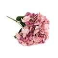 ARTIFICIAL ORTANSIA S/MHLO BUSH Deventor