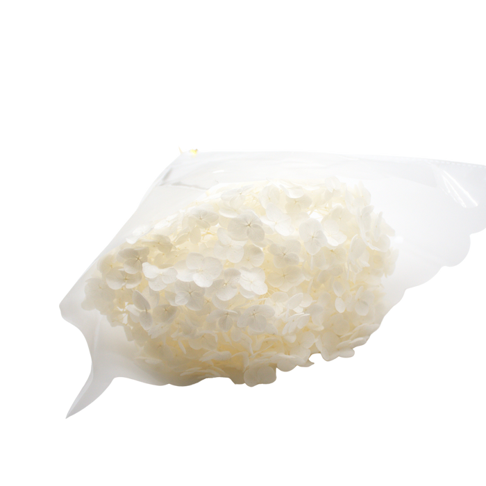 ARTIFICIAL ORTANSIA WHITE Deventor