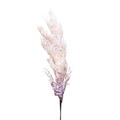 ARTIFICIAL PAMPAS 100CM Deventor