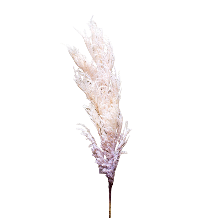 ARTIFICIAL PAMPAS 100CM Deventor
