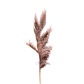 ARTIFICIAL PAMPAS 100CM Deventor