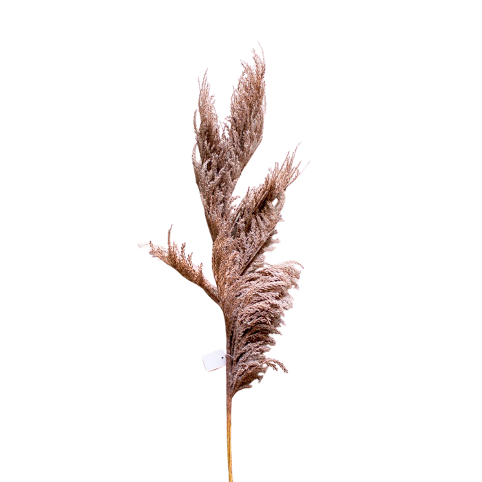 ARTIFICIAL PAMPAS 100CM Deventor