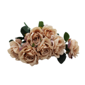 ARTIFICIAL ROSE BUSH NUT Deventor