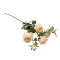 ARTIFICIAL ROSES Deventor
