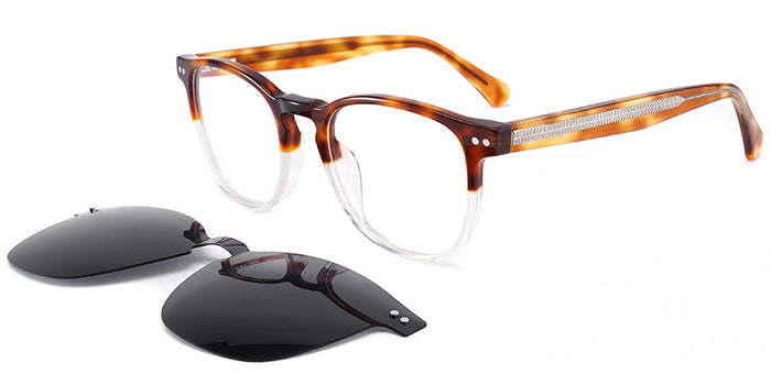 tortoiseshell