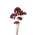 BERRY SPRAY BURGUNDY 96CM Deventor