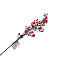 BERRY SPRAY RED 58C Deventor
