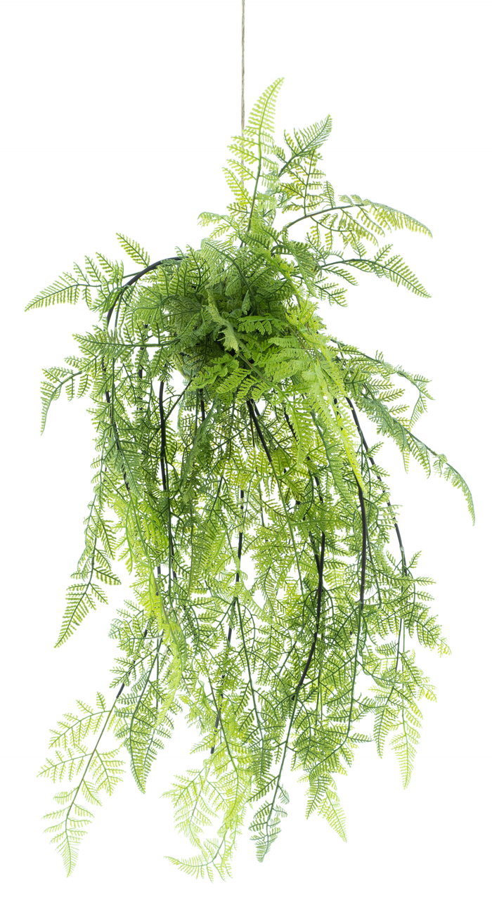 BOSTON FERN HANGER 80CM Deventor