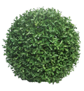 BOXWOOD 45CM 3YEARS UV Deventor