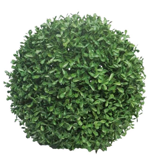 BOXWOOD 45CM 3YEARS UV Deventor