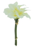 CALLA BUNDLE X12 CREAM 45CM Deventor