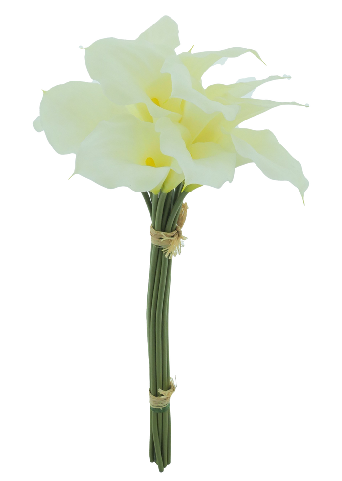 CALLA BUNDLE X12 CREAM 45CM Deventor