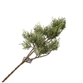 CEDAR SPRAY CARLY ICED 80CM Deventor