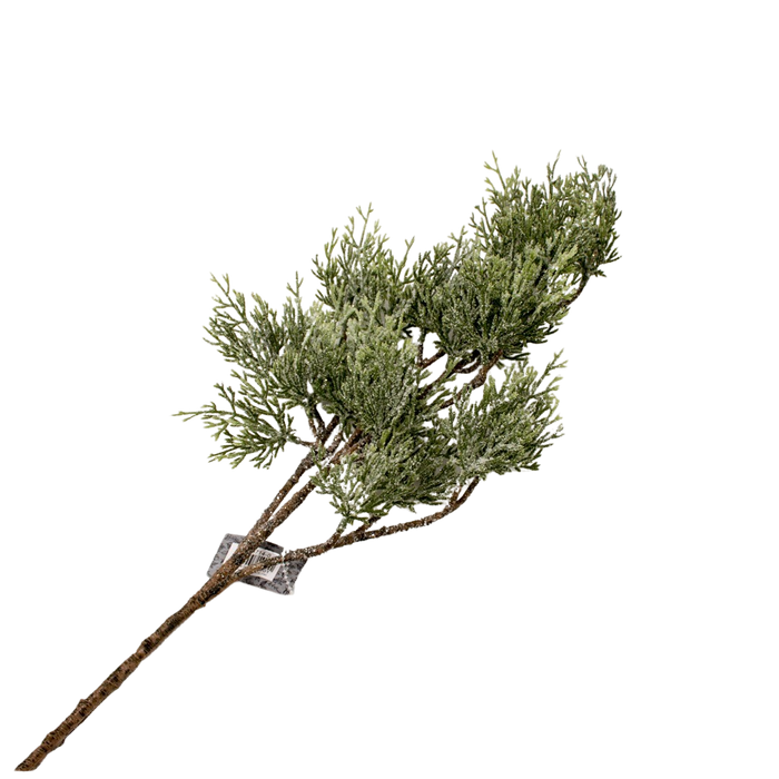 CEDAR SPRAY CARLY ICED 80CM Deventor