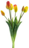 CLASSIC MIX TULIP  X7 YEL/ORG 47CM Deventor