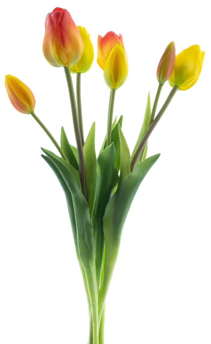 CLASSIC MIX TULIP  X7 YEL/ORG 47CM Deventor