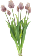 CLASSIC TULIP LAVENDER X7 47CM Deventor