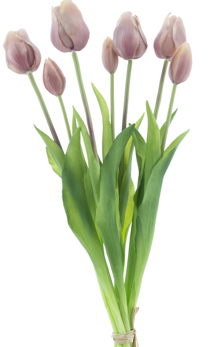 CLASSIC TULIP LAVENDER X7 47CM Deventor