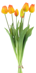 CLASSIC TULIP ORANGE X7 47CM Deventor