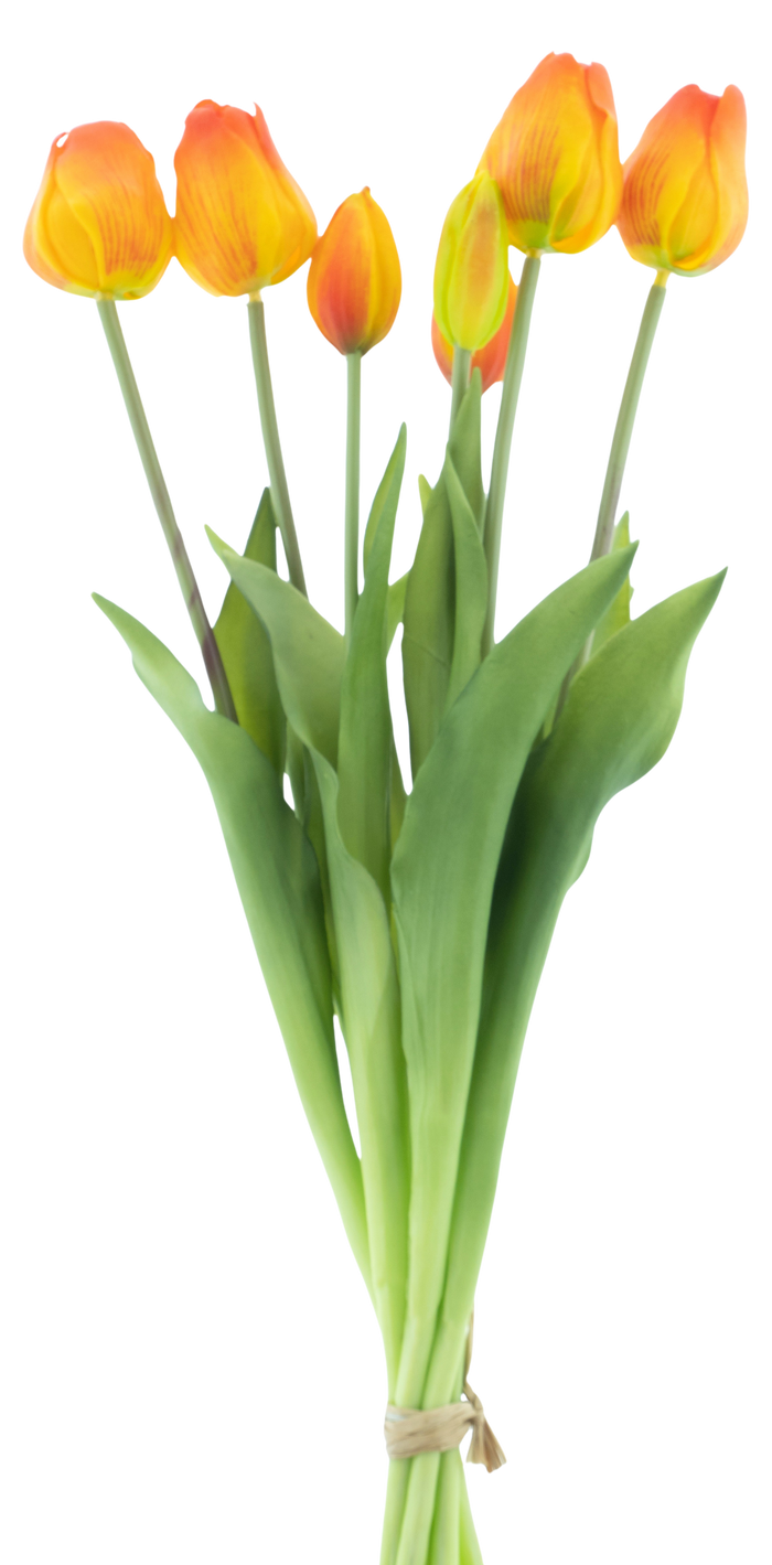 CLASSIC TULIP ORANGE X7 47CM Deventor