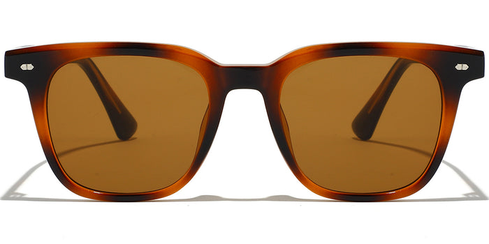 tortoiseshell