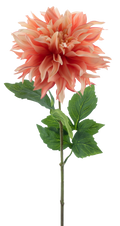 DAHLIA MUMBA 63CM Deventor