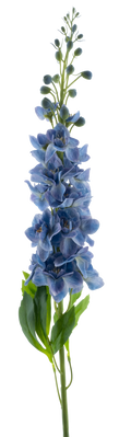 DELPHINIUM ROLAND BLUE 87CM Deventor