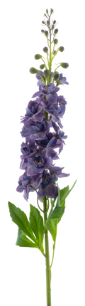 DELPHINIUM ROLAND PURPLE 87CM Deventor